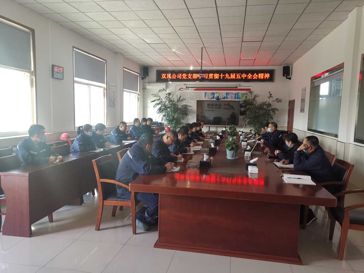 双凤公司党支部学习贯彻党的十九届五中全会精神 双凤公司党支部学习贯彻党的十九届五中全会精神