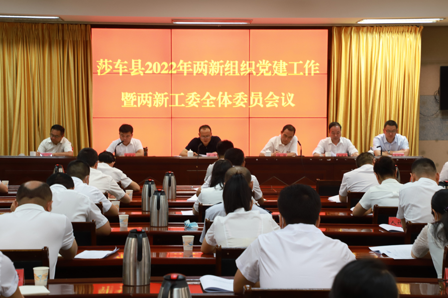 12-莎车公司在莎车县2022年两新组织党建工作会上作典型经验介绍 (1) 12-莎车公司在莎车县2022年两新组织党建工作会上作典型经验介绍 (1)