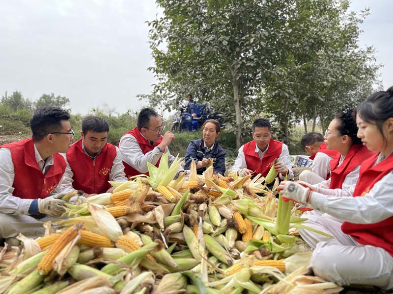 莎车公司开展“金秋丰收季，助农进行时”主题活动 (3)