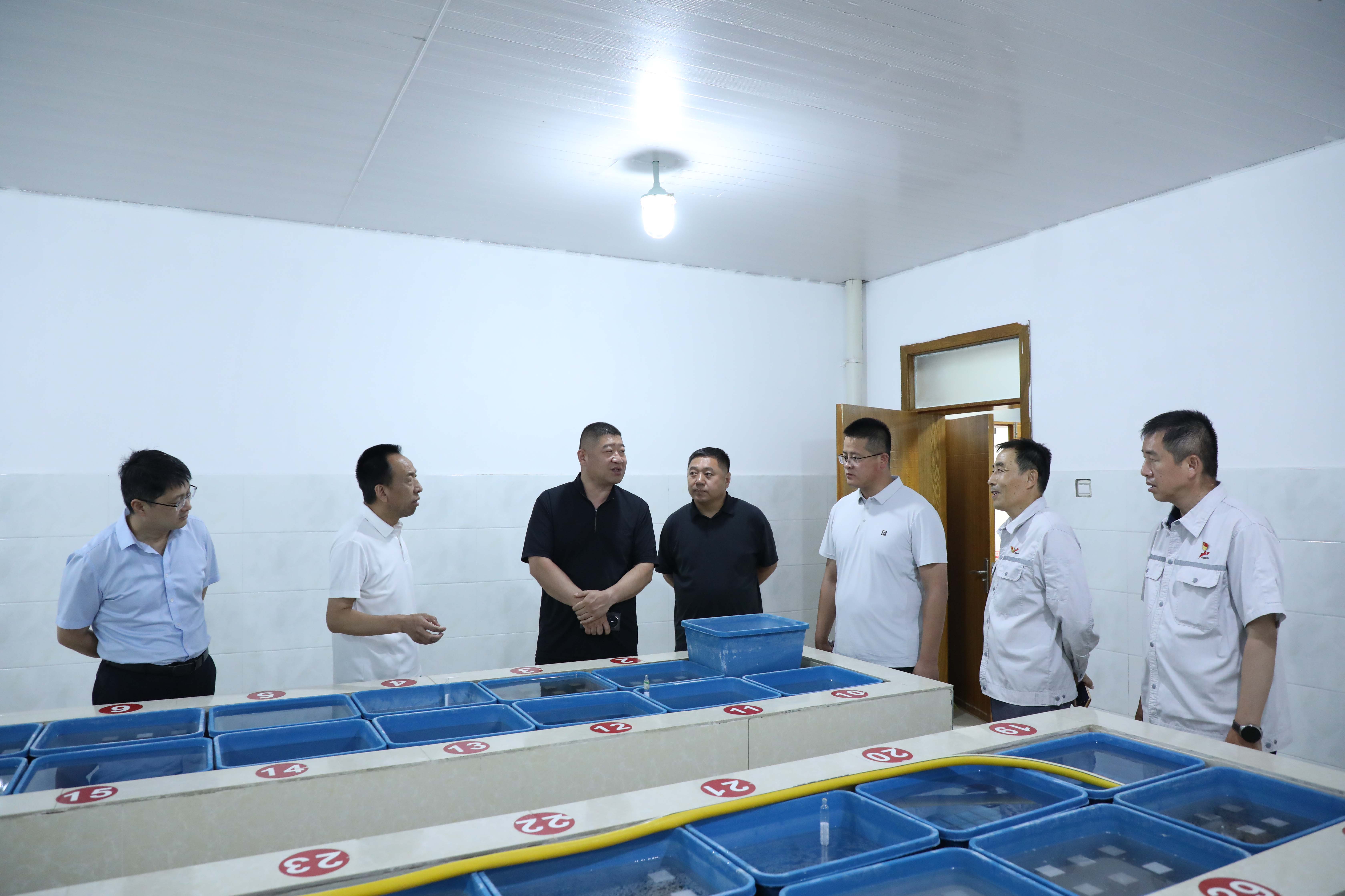 喀什地区招商局党组成员、副局长逄子剑一行到疏勒公司调研 (1)